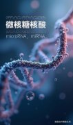 硬件设备逐渐轻量化、产物价钱逐步亲平易近 